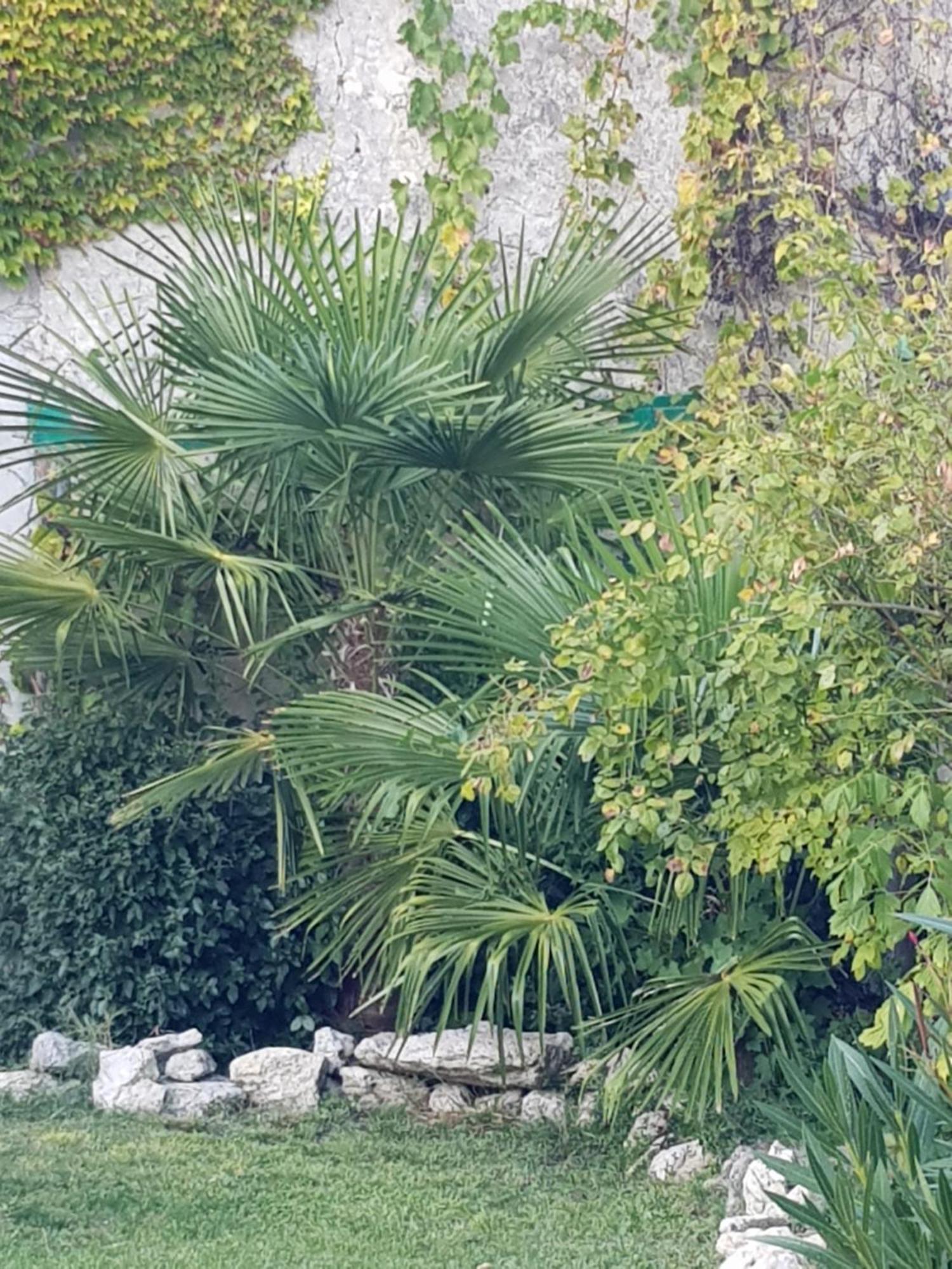 La Maison Malabar Villefranche-du-Queyran Buitenkant foto